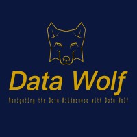 Data Wolf logo - Similar company to Data Wolf, Llc
