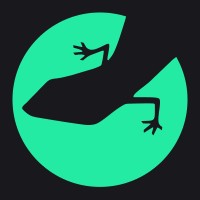 Lizard Global logo - Similar company to Veecotech Group