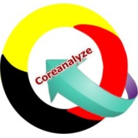 Coreanalyze International Limited logo - Similar company to Cools Private Entreprise Ltd