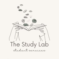 The Study Lab logo - Similar company to Bilgi Robotics