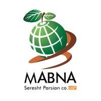 Mabna Seresht Parsian company logo - Similar company to Mabna Seresht Parisan ( Msp)