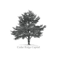 Cedar Ridge Capital logo - Similar company to Cedar Ridge Capital