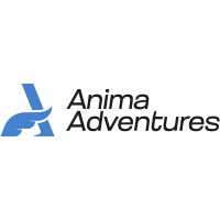 Anima Adventures logo - Similar company to Radicalz.Io