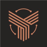 Tech Falcon logo - Similar company to Tech Bee It & Designs Llc