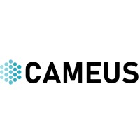 CAMEUS logo - Similar company to Lan Computer Systems Ag