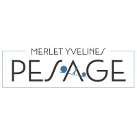 MERLET YVELINES PESAGE logo - Similar company to Rmt - Technologies De Pesage Et Vision