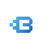 BlueChip Technology Consulting logo - Similar company to Mybliss Technologies