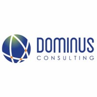 Dominus Consulting logo - Similar company to Canvs