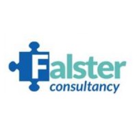 Falster Consultancy logo - Similar company to Dynasure