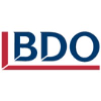 BDO Botswana logo - Similar company to Veracitech