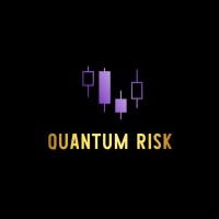 QUANTUM RISK logo - Similar company to Financial Risk Technology