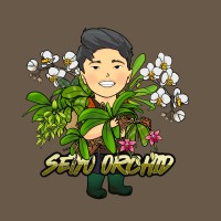 Orchid Business - Anggrek Rimba logo - Similar company to Pt. Sinar Mitra Solutions