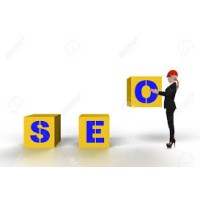 Local SEO Analyst Tarif logo - Similar company to Seo Analyst & Digital Marketing Services