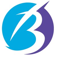 Brainpals Code Academy logo - Similar company to Cyberdevs