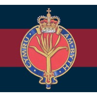 1st Battalion Welsh Guards logo - Similar company to Scottish And North Irish Yeomanry