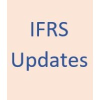 IFRS Updates logo - Similar company to Audit & Ifrs Support