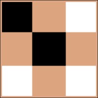 Echo Chunk AI logo - Similar company to Snapser