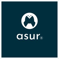 Asur Soft logo - Similar company to Tmt Governance