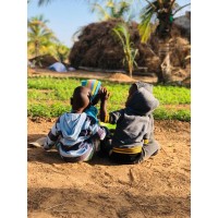 Ferme Ecole de KAYDARA - Jardins d'Afrique logo - Similar company to Prixdakar.Com