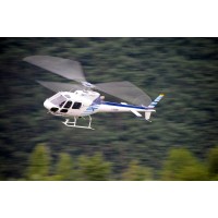 ELIFLY INTERNATIONAL SRL logo - Similar company to Nexio Informatica