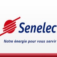 Senelec logo - Similar company to Action Expertise Et Conseils