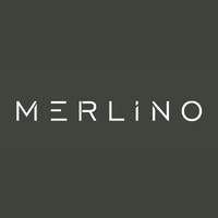 Merlino International logo - Similar company to Spacetwo