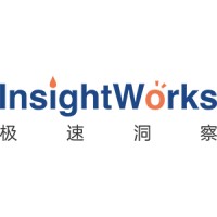 InsightWorks极速洞察 logo - Similar company to Remoera