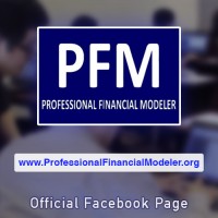 Professional Financial Modeler logo - Similar company to S Ventures
