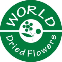 World Dried Flowers logo - Similar company to Decoflora Studio