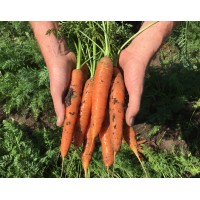 Moffatt Fresh Produce logo - Similar company to Barden Produce