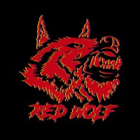 Red Wolf Studio logo - Similar company to Techbees Enterprises