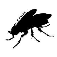 E Nolan logo - Similar company to Niika