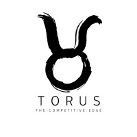 Torus Motorsport logo - Similar company to Calibrium Ltd