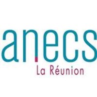 ANECS La Réunion logo - Similar company to Aj Services 89