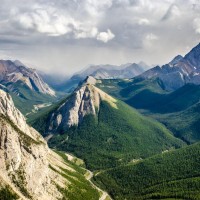 Página logo - Similar company to Canadian Alopecia Areata Foundation