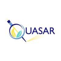 Quasar Lab México logo - Similar company to Zen·Zei