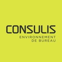 Consulis Environnement de bureau logo - Similar company to Gothrider