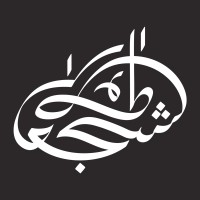 Taha Shuja logo - Similar company to Digiexponent