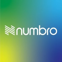 Numbro Consulting Private Limited logo - Similar company to Ark Advisors Llp