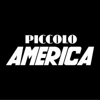 Fondazione Piccolo America logo - Similar company to Pantera Studios Italia