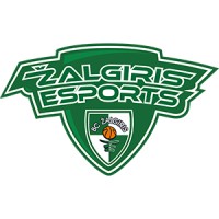 Zalgiris Esports logo - Similar company to Zalgiris Ventures