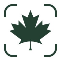 Maple Leaf Strategies logo - Similar company to Access Tribe Ltd