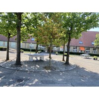 Virum Gymnasium logo - Similar company to Ditfinanshus