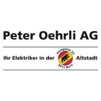 Peter Oehrli AG logo - Similar company to Trigon Ag, Perfekt Vernetzt