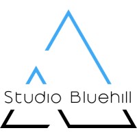 Studio Blue Hill logo - Similar company to Adorn Abodes