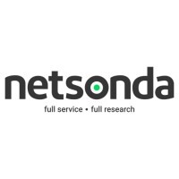 Netsonda logo - Similar company to Actone