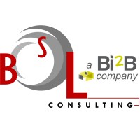 BSL Consulting logo - Similar company to Bsl Consulting