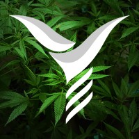 Ygeia Essential Labs logo - Similar company to Natural Resources Engineering S.A.S