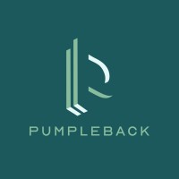 Pumpleback logo - Similar company to We Are Ease Ltd