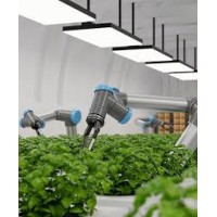 AgroImpact Alliance logo - Similar company to Shalibhadra Export Ventures